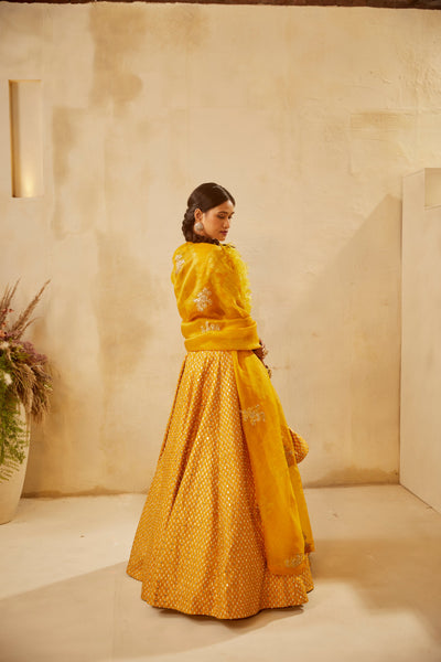 Haldi  Bindu Embroidered Lehenga