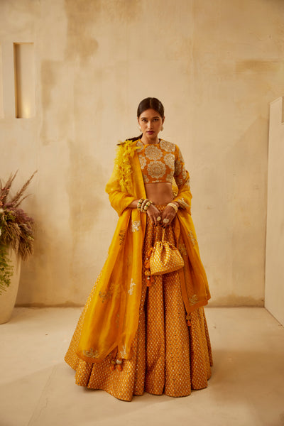 Haldi  Bindu Embroidered Lehenga