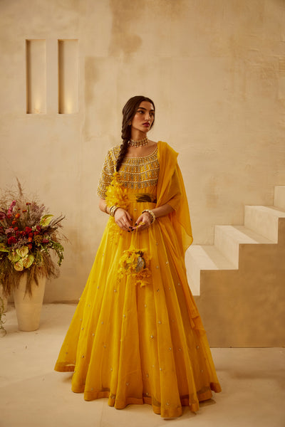 Yellow Organza Embroidered Anarkali
