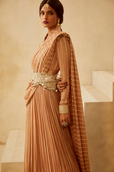 Nude Nukta Pallazo Saree