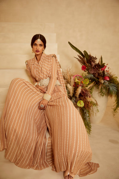 Nude Nukta Pallazo Saree