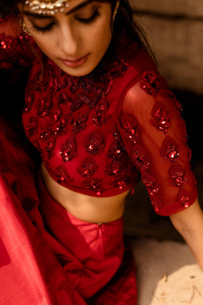 Red Monotone Skirt with Blouse - BHUMIKA SHARMA