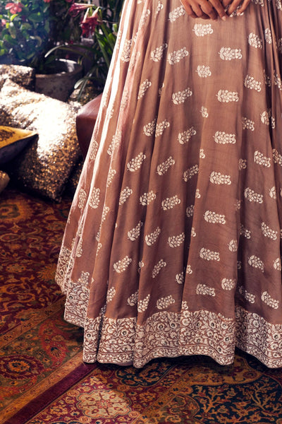 Printed Embellished Anarkali - BHUMIKA SHARMA