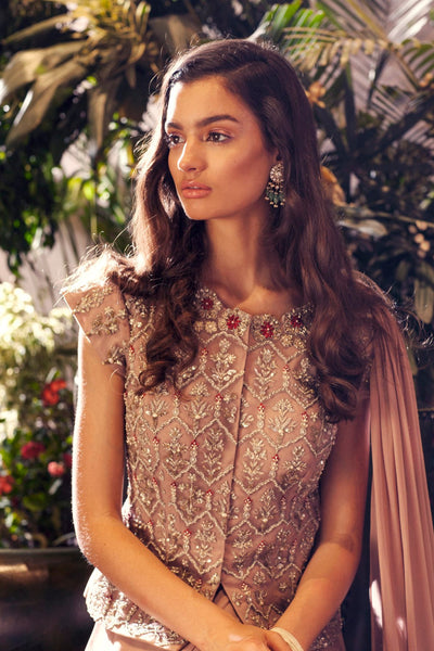 Nude Embroidered Jacket Blouse with Draped Saree - BHUMIKA SHARMA