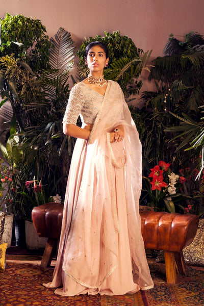 Nude Embroidered Lehenga Set - BHUMIKA SHARMA