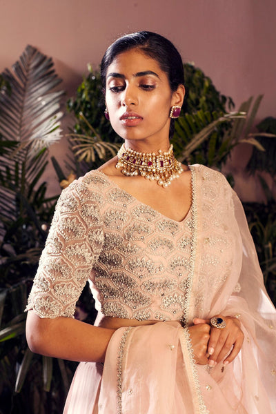 Nude Embroidered Lehenga Set - BHUMIKA SHARMA