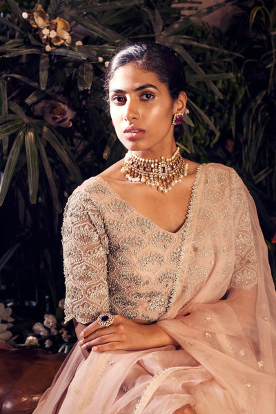 Nude Embroidered Lehenga Set - BHUMIKA SHARMA