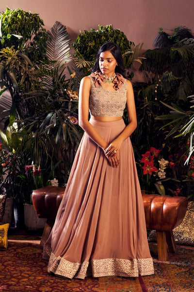 Nude Embroidered Blouse and Skirt - BHUMIKA SHARMA