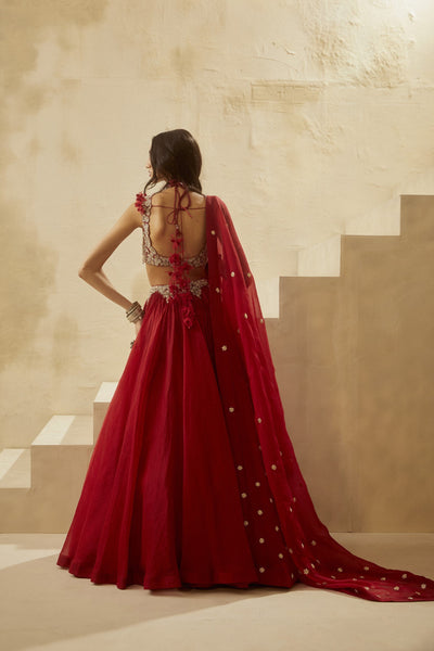 Red Ambi Jaal Lehenga