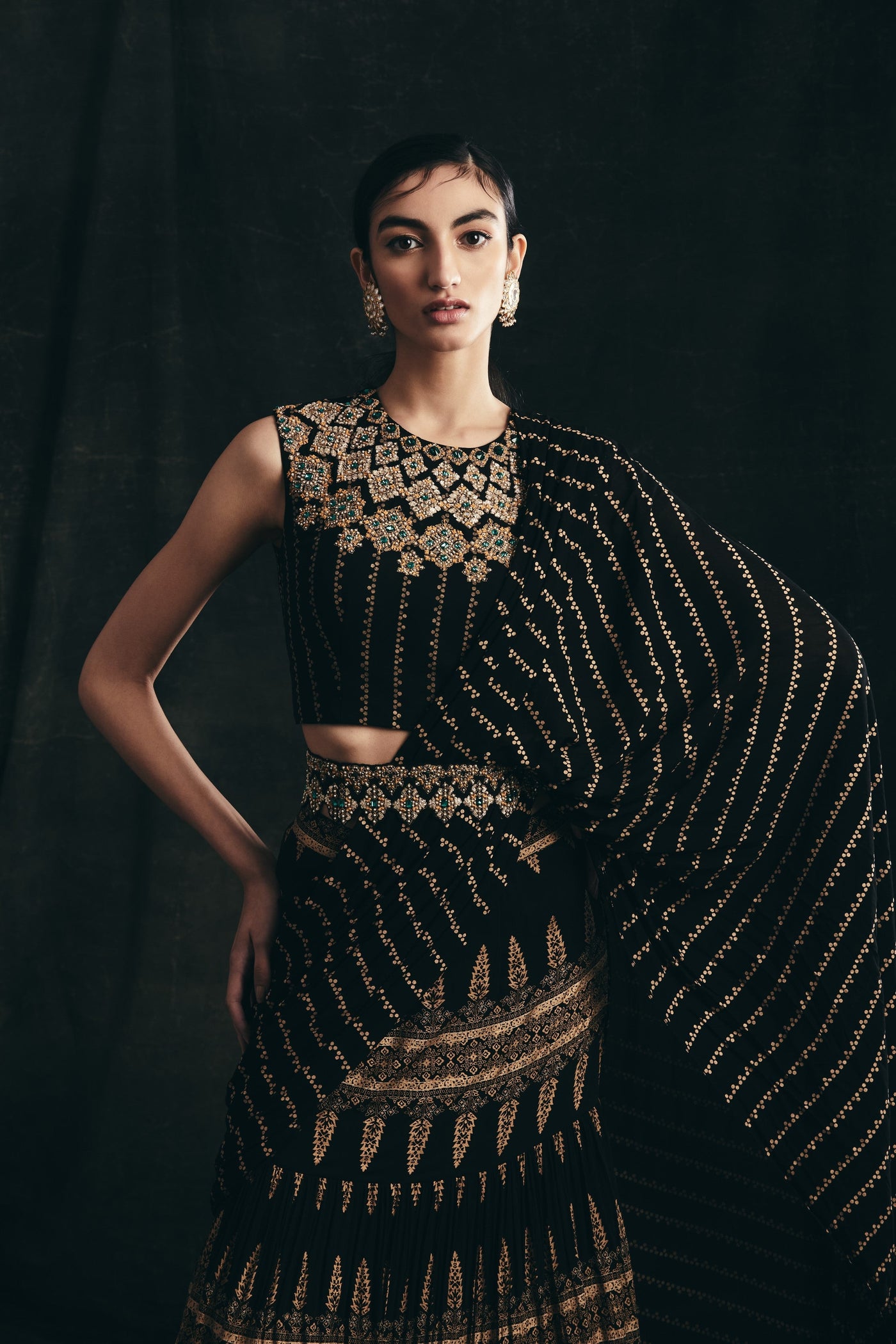 Black Persian Print Belted Saree