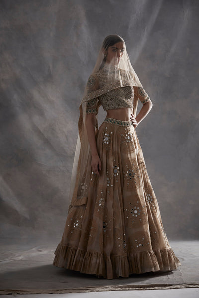 Beige Ambi Circle Print Lehenga Set