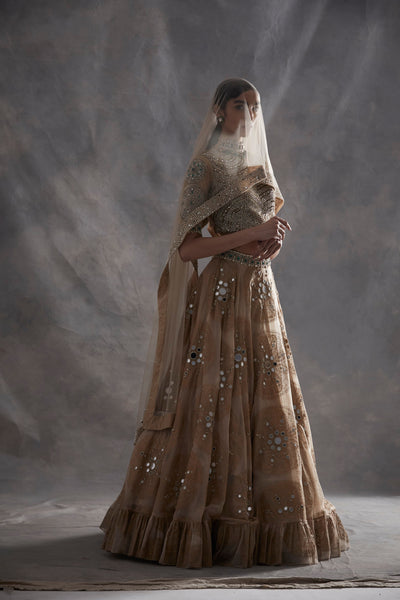 Beige Ambi Circle Print Lehenga Set
