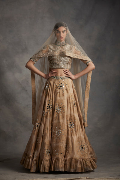 Beige Ambi Circle Print Lehenga Set
