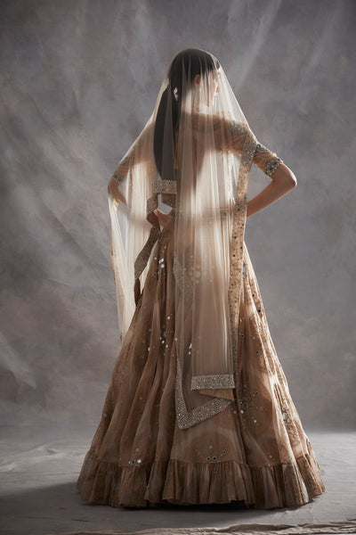 Beige Ambi Circle Print Lehenga Set